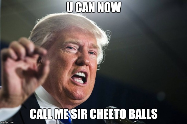 donald trump | U CAN NOW; CALL ME SIR CHEETO BALLS | image tagged in donald trump | made w/ Imgflip meme maker