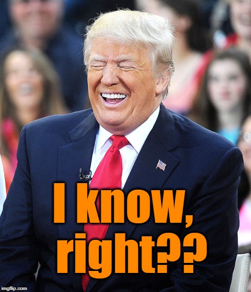 Trump laughing at liberals | I know,  right?? | image tagged in trump laughing at liberals | made w/ Imgflip meme maker