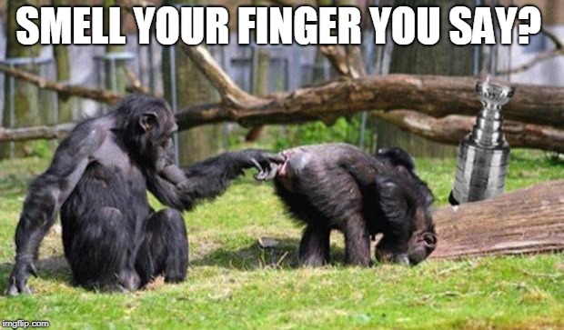 Monkeys | SMELL YOUR FINGER YOU SAY? | image tagged in monkeys | made w/ Imgflip meme maker