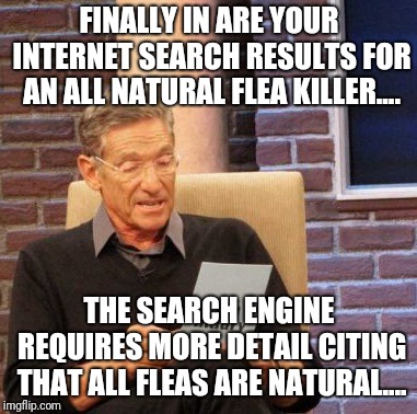 Naturally.... | FINALLY IN ARE YOUR INTERNET SEARCH RESULTS FOR AN ALL NATURAL FLEA KILLER.... THE SEARCH ENGINE REQUIRES MORE DETAIL CITING THAT ALL FLEAS ARE NATURAL.... | image tagged in memes,maury lie detector,fleas,natural,the internet | made w/ Imgflip meme maker
