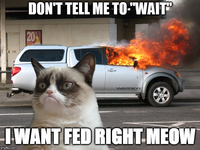Grumpy Cat Fire Car | DON'T TELL ME TO "WAIT"; I WANT FED RIGHT MEOW | image tagged in grumpy cat fire car | made w/ Imgflip meme maker