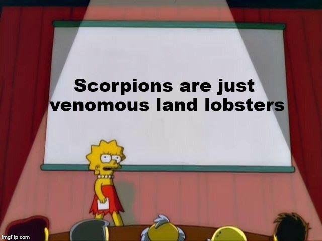 Lisa Simpson's Presentation | Scorpions are just venomous land lobsters | image tagged in lisa simpson's presentation | made w/ Imgflip meme maker