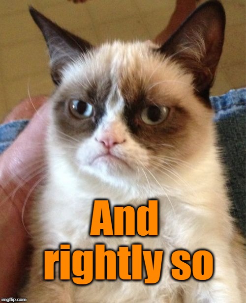 Grumpy Cat Meme | And rightly so | image tagged in memes,grumpy cat | made w/ Imgflip meme maker