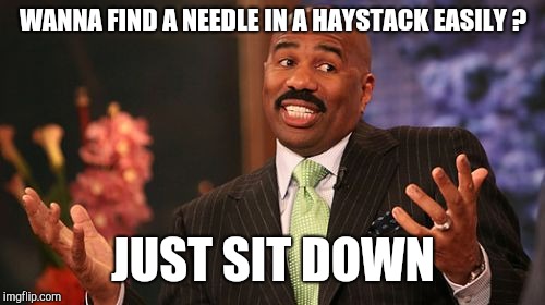 Steve Harvey Meme | WANNA FIND A NEEDLE IN A HAYSTACK EASILY ? JUST SIT DOWN | image tagged in memes,steve harvey | made w/ Imgflip meme maker