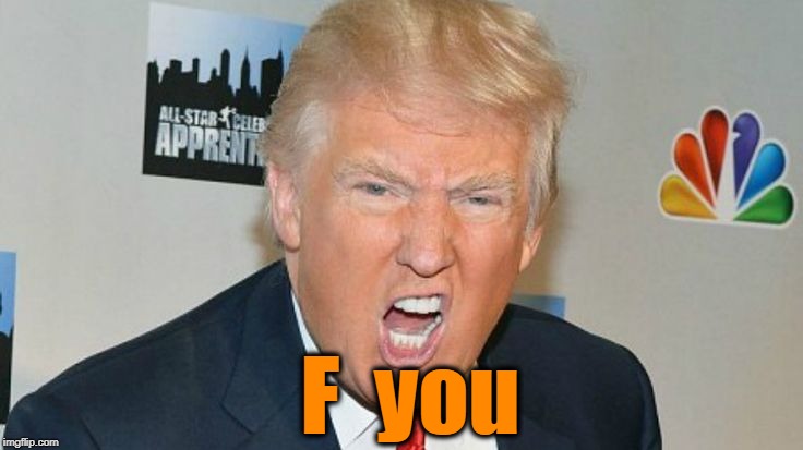 F  you | image tagged in trump mad | made w/ Imgflip meme maker