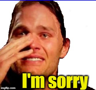 I'm sorry | image tagged in crying tom | made w/ Imgflip meme maker