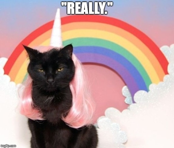 happy caticorn | "REALLY." | image tagged in happy caticorn | made w/ Imgflip meme maker