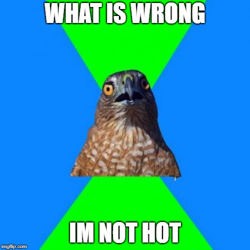 Hawkward | WHAT IS WRONG; IM NOT HOT | image tagged in memes,hawkward | made w/ Imgflip meme maker