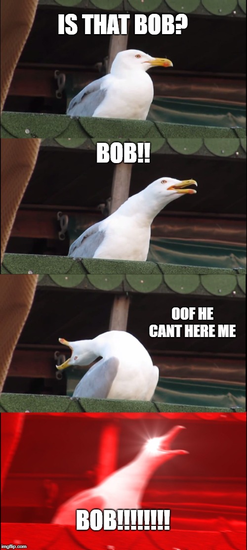 Inhaling Seagull Meme | IS THAT BOB? BOB!! OOF HE CANT HERE ME; BOB!!!!!!!! | image tagged in memes,inhaling seagull | made w/ Imgflip meme maker