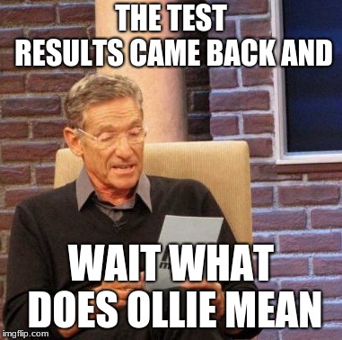 Maury Lie Detector Meme | THE TEST RESULTS CAME BACK AND WAIT WHAT DOES OLLIE MEAN | image tagged in memes,maury lie detector | made w/ Imgflip meme maker