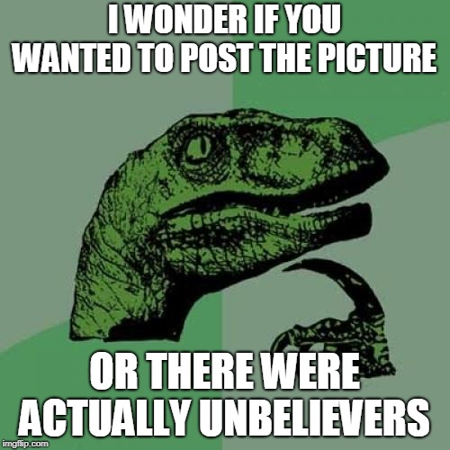 Philosoraptor Meme | I WONDER IF YOU WANTED TO POST THE PICTURE; OR THERE WERE ACTUALLY UNBELIEVERS | image tagged in memes,philosoraptor | made w/ Imgflip meme maker