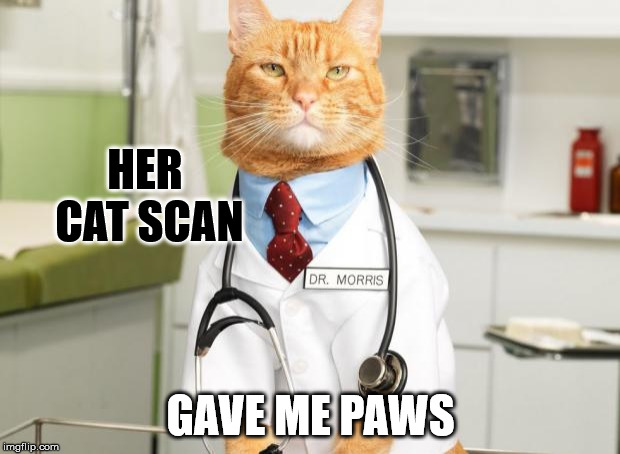 Cat Doctor | HER CAT SCAN GAVE ME PAWS | image tagged in cat doctor | made w/ Imgflip meme maker