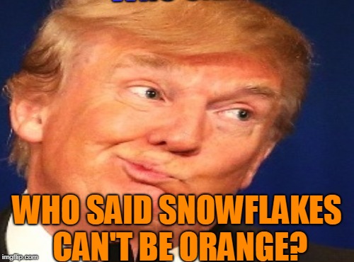 WHO SAID; WHO SAID SNOWFLAKES CAN'T BE ORANGE? | made w/ Imgflip meme maker