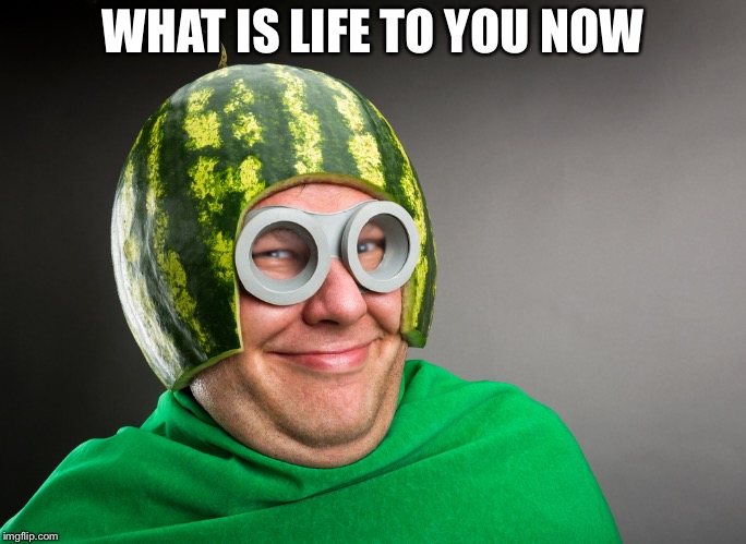 What is life | WHAT IS LIFE TO YOU NOW | image tagged in what is life | made w/ Imgflip meme maker