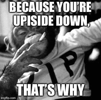 because fuck you, thats why | BECAUSE YOU’RE UPISIDE DOWN, THAT’S WHY | image tagged in because fuck you thats why | made w/ Imgflip meme maker