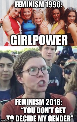 How the world has changed | FEMINISM 1996:; GIRLPOWER; FEMINISM 2018:       “YOU DON’T GET TO DECIDE MY GENDER” | image tagged in feminism | made w/ Imgflip meme maker