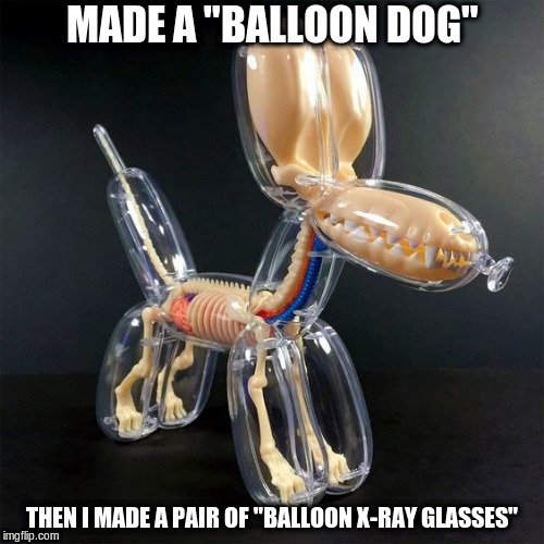 balloon dog | MADE A "BALLOON DOG"; THEN I MADE A PAIR OF "BALLOON X-RAY GLASSES" | image tagged in memes,balloon dog | made w/ Imgflip meme maker