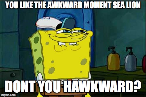 Inspired by ChristinaBrewington! | YOU LIKE THE AWKWARD MOMENT SEA LION; DONT YOU HAWKWARD? | image tagged in memes,dont you squidward,christinabrewington,punman21 | made w/ Imgflip meme maker