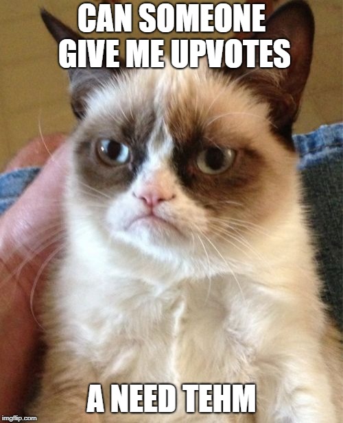 Grumpy Cat | CAN SOMEONE GIVE ME UPVOTES; A NEED TEHM | image tagged in memes,grumpy cat | made w/ Imgflip meme maker