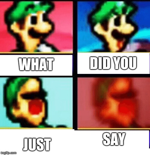 DID YOU; WHAT; JUST; SAY | image tagged in blank nut button | made w/ Imgflip meme maker