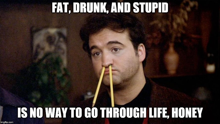 Animal House | FAT, DRUNK, AND STUPID; IS NO WAY TO GO THROUGH LIFE, HONEY | image tagged in animal house | made w/ Imgflip meme maker