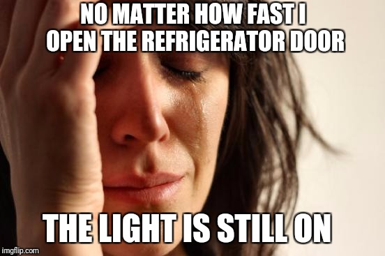 First World problems | NO MATTER HOW FAST I OPEN THE REFRIGERATOR DOOR; THE LIGHT IS STILL ON | image tagged in memes,first world problems,repair,refrigerator,electricity,funny | made w/ Imgflip meme maker