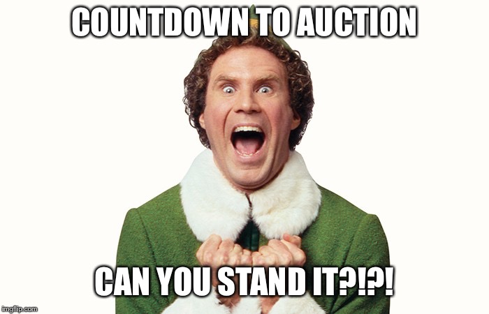 Buddy the elf excited | COUNTDOWN TO AUCTION; CAN YOU STAND IT?!?! | image tagged in buddy the elf excited | made w/ Imgflip meme maker