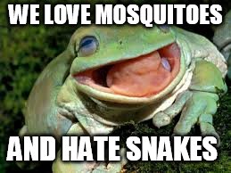 Wise Frog | WE LOVE MOSQUITOES; AND HATE SNAKES | image tagged in frog,mosquito,snake | made w/ Imgflip meme maker