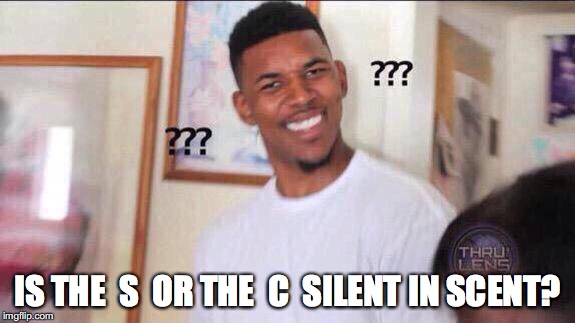 Spelling are hard | IS THE  S  OR THE  C  SILENT IN SCENT? | image tagged in black guy confused | made w/ Imgflip meme maker