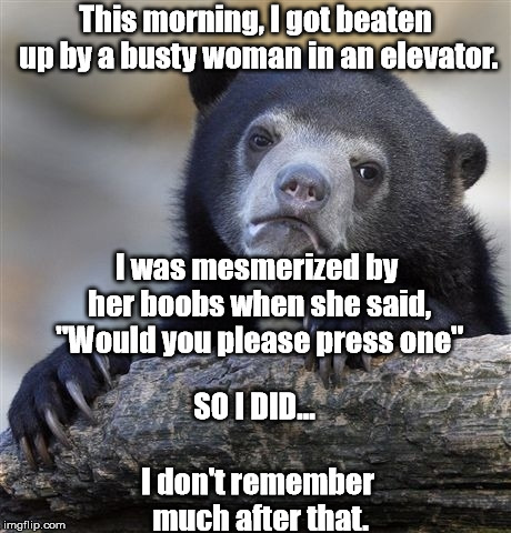 Confession Bear Meme | This morning, I got beaten up by a busty woman in an elevator. I was mesmerized by her boobs when she said, "Would you please press one"; SO I DID... I don't remember much after that. | image tagged in memes,confession bear | made w/ Imgflip meme maker