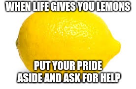 When life gives you lemons, X | WHEN LIFE GIVES YOU LEMONS; PUT YOUR PRIDE ASIDE AND ASK FOR HELP | image tagged in when life gives you lemons x | made w/ Imgflip meme maker