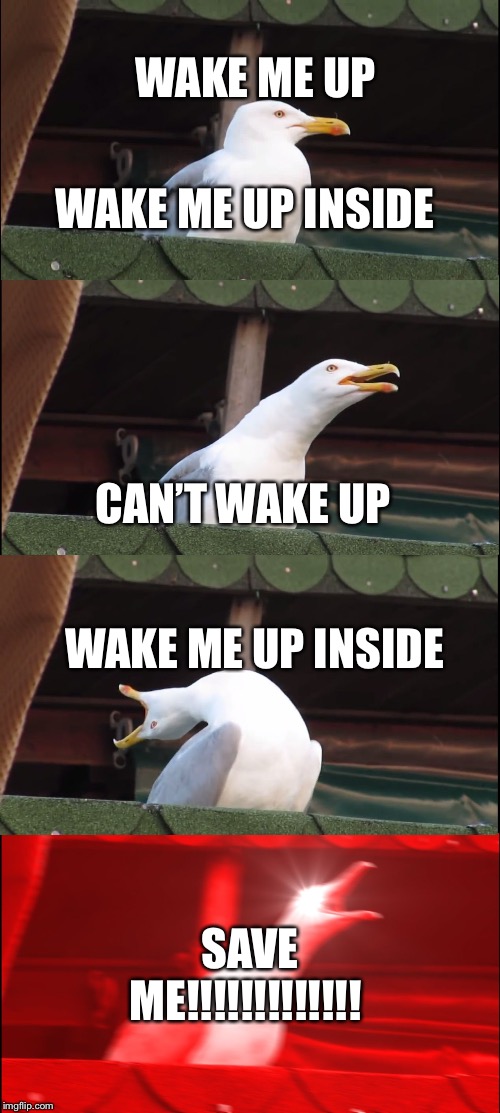 Inhaling Seagull Meme | WAKE ME UP; WAKE ME UP INSIDE; CAN’T WAKE UP; WAKE ME UP INSIDE; SAVE ME!!!!!!!!!!!!! | image tagged in memes,inhaling seagull | made w/ Imgflip meme maker