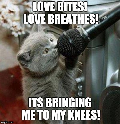 Cat microphone | LOVE BITES! LOVE BREATHES! ITS BRINGING ME TO MY KNEES! | image tagged in cat microphone | made w/ Imgflip meme maker