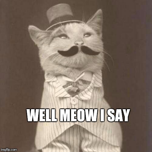 Old Times Cat | WELL MEOW I SAY | image tagged in old times cat | made w/ Imgflip meme maker