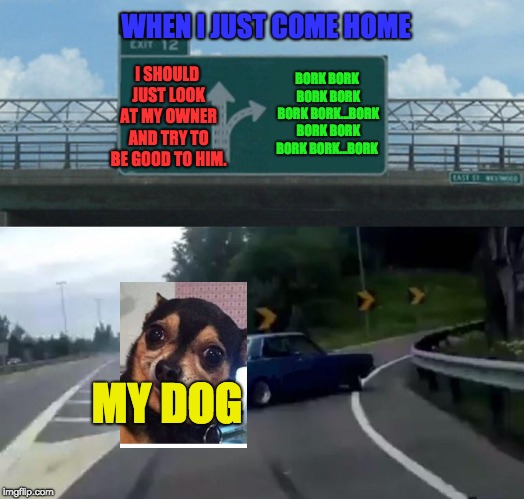 Left Exit 12 Off Ramp | WHEN I JUST COME HOME; I SHOULD JUST LOOK AT MY OWNER AND TRY TO BE GOOD TO HIM. BORK BORK BORK BORK BORK BORK...BORK BORK BORK BORK BORK...BORK; MY DOG | image tagged in memes,left exit 12 off ramp | made w/ Imgflip meme maker