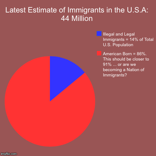 Latest Estimate of Immigrants in the U.S.A: 44 Million | American Born = 86%. This should be closer to 91% ... or are we becoming a Nation o | image tagged in funny,pie charts | made w/ Imgflip chart maker