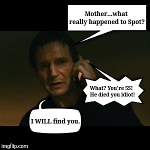 Lies Our Parents Told Us | Mother...what really happened to Spot? What? You're 55!  He died you idiot! I WILL find you. | image tagged in jefthehobo,i bring the funny,liam neeson taken,parents | made w/ Imgflip meme maker