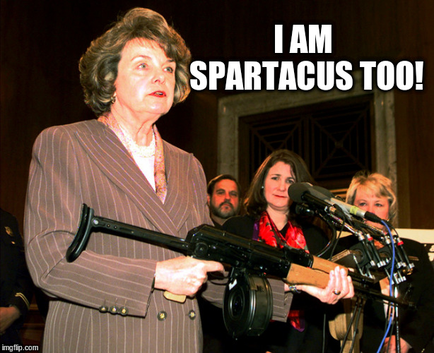 Diane Feinstein AK47 | I AM SPARTACUS TOO! | image tagged in diane feinstein ak47 | made w/ Imgflip meme maker