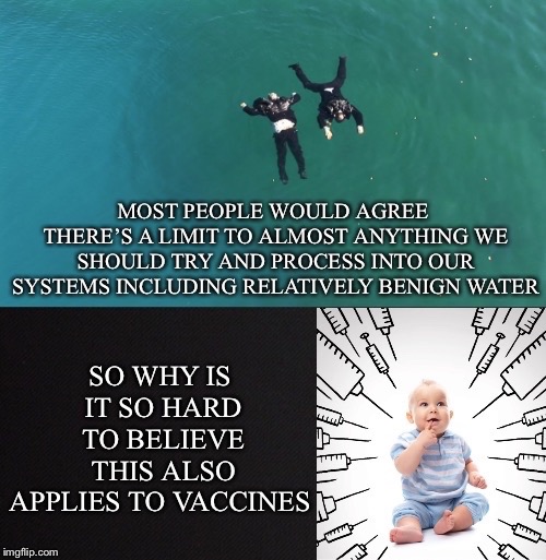Limits | image tagged in limit,anything,system,water,applies,vaccines | made w/ Imgflip meme maker
