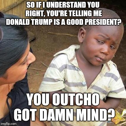 Third World Skeptical Kid Meme | SO IF I UNDERSTAND YOU RIGHT, YOU'RE TELLING ME DONALD TRUMP IS A GOOD PRESIDENT? YOU OUTCHO GOT DAMN MIND? | image tagged in memes,third world skeptical kid | made w/ Imgflip meme maker