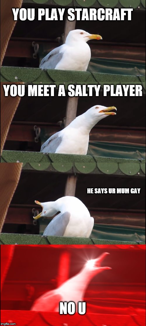 Inhaling Seagull Meme | YOU PLAY STARCRAFT; YOU MEET A SALTY PLAYER; HE SAYS UR MUM GAY; NO U | image tagged in memes,inhaling seagull | made w/ Imgflip meme maker