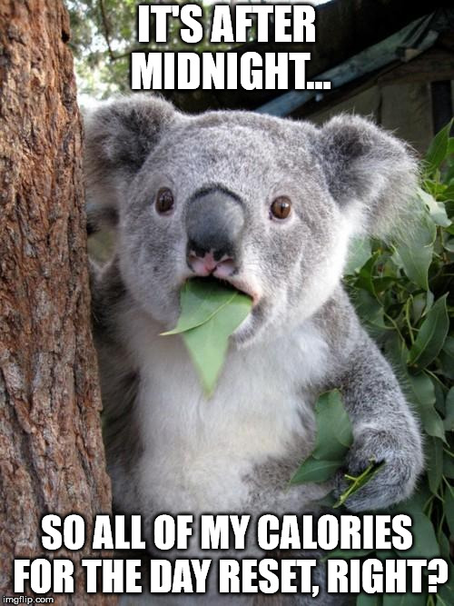 Gonna let it all hang out... | IT'S AFTER MIDNIGHT... SO ALL OF MY CALORIES FOR THE DAY RESET, RIGHT? | image tagged in memes,surprised koala | made w/ Imgflip meme maker