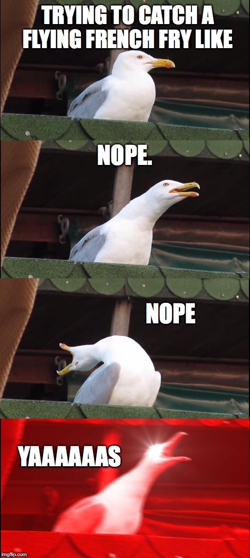 Inhaling Seagull Meme | TRYING TO CATCH A FLYING FRENCH FRY LIKE; NOPE. NOPE; YAAAAAAS | image tagged in memes,inhaling seagull | made w/ Imgflip meme maker
