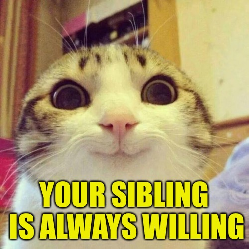 Smiling Cat Meme | YOUR SIBLING IS ALWAYS WILLING | image tagged in memes,smiling cat | made w/ Imgflip meme maker