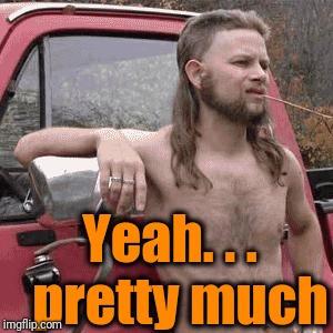 HillBilly | Yeah. . .  pretty much | image tagged in hillbilly | made w/ Imgflip meme maker