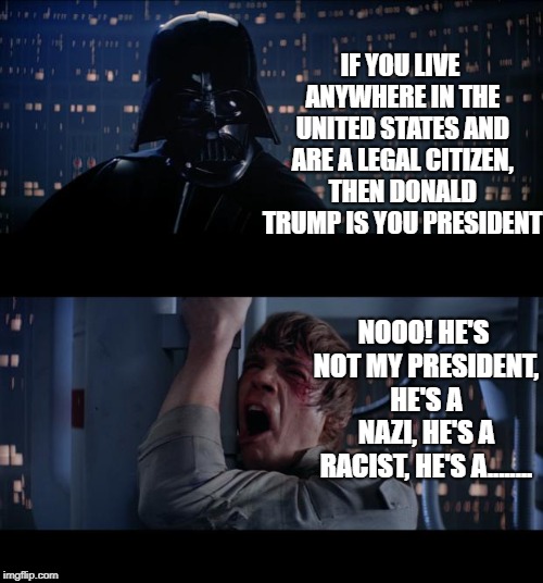 Star Wars No | IF YOU LIVE ANYWHERE IN THE UNITED STATES AND ARE A LEGAL CITIZEN, THEN DONALD TRUMP IS YOU PRESIDENT; NOOO! HE'S NOT MY PRESIDENT, HE'S A NAZI, HE'S A RACIST, HE'S A........ | image tagged in memes,star wars no | made w/ Imgflip meme maker