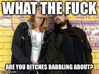 Jay and Silent Bob | WHAT THE FUCK; ARE YOU BITCHES BABBLING ABOUT? | image tagged in jay and silent bob | made w/ Imgflip meme maker