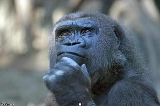 The thinking gorilla | . | image tagged in the thinking gorilla | made w/ Imgflip meme maker