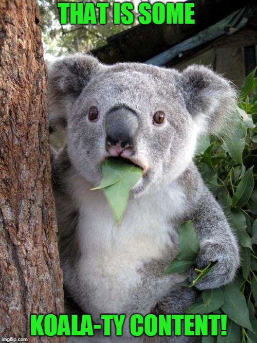 Surprised Koala Meme | THAT IS SOME; KOALA-TY CONTENT! | image tagged in memes,surprised koala | made w/ Imgflip meme maker