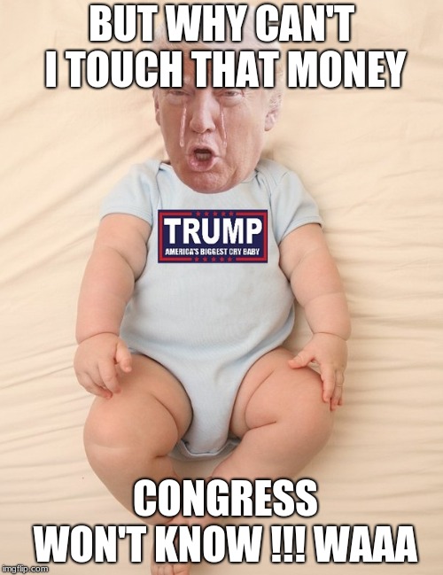 Crying Trump Baby | BUT WHY CAN'T I TOUCH THAT MONEY; CONGRESS WON'T KNOW !!! WAAA | image tagged in crying trump baby | made w/ Imgflip meme maker